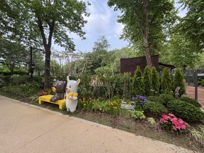 kb보험썸