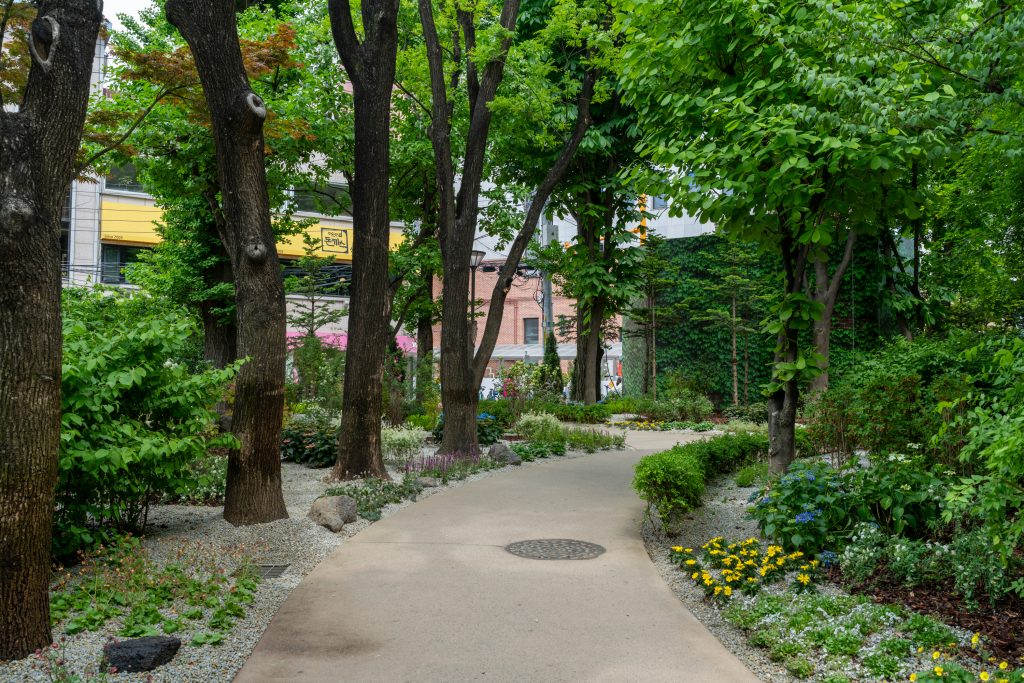 260429_JIINYOO_DSC01467