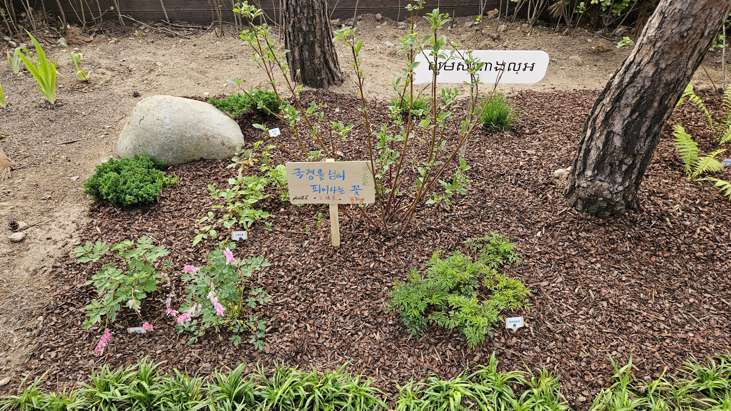 글로벌10