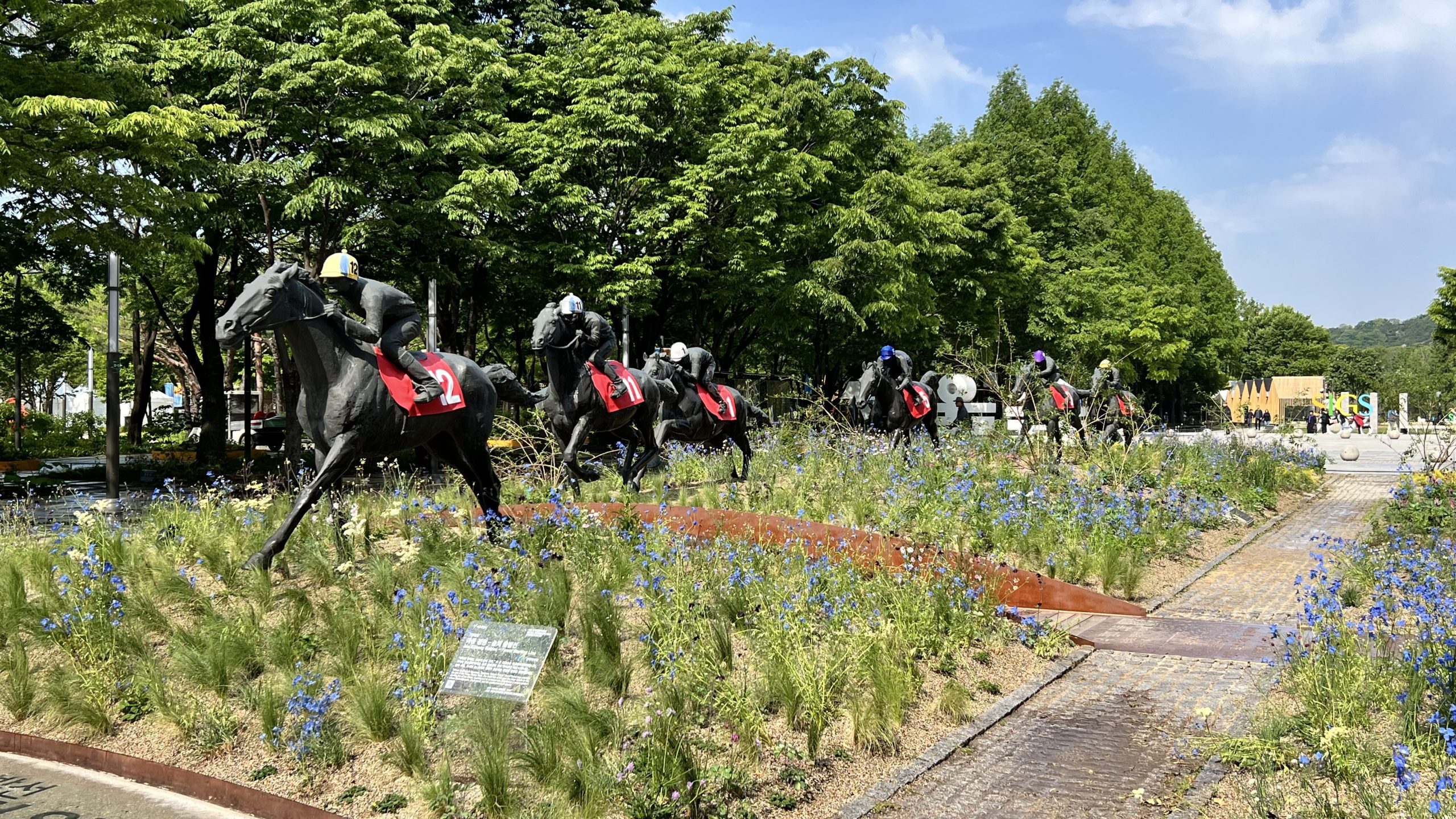 KakaoTalk_20260511_171728797_08