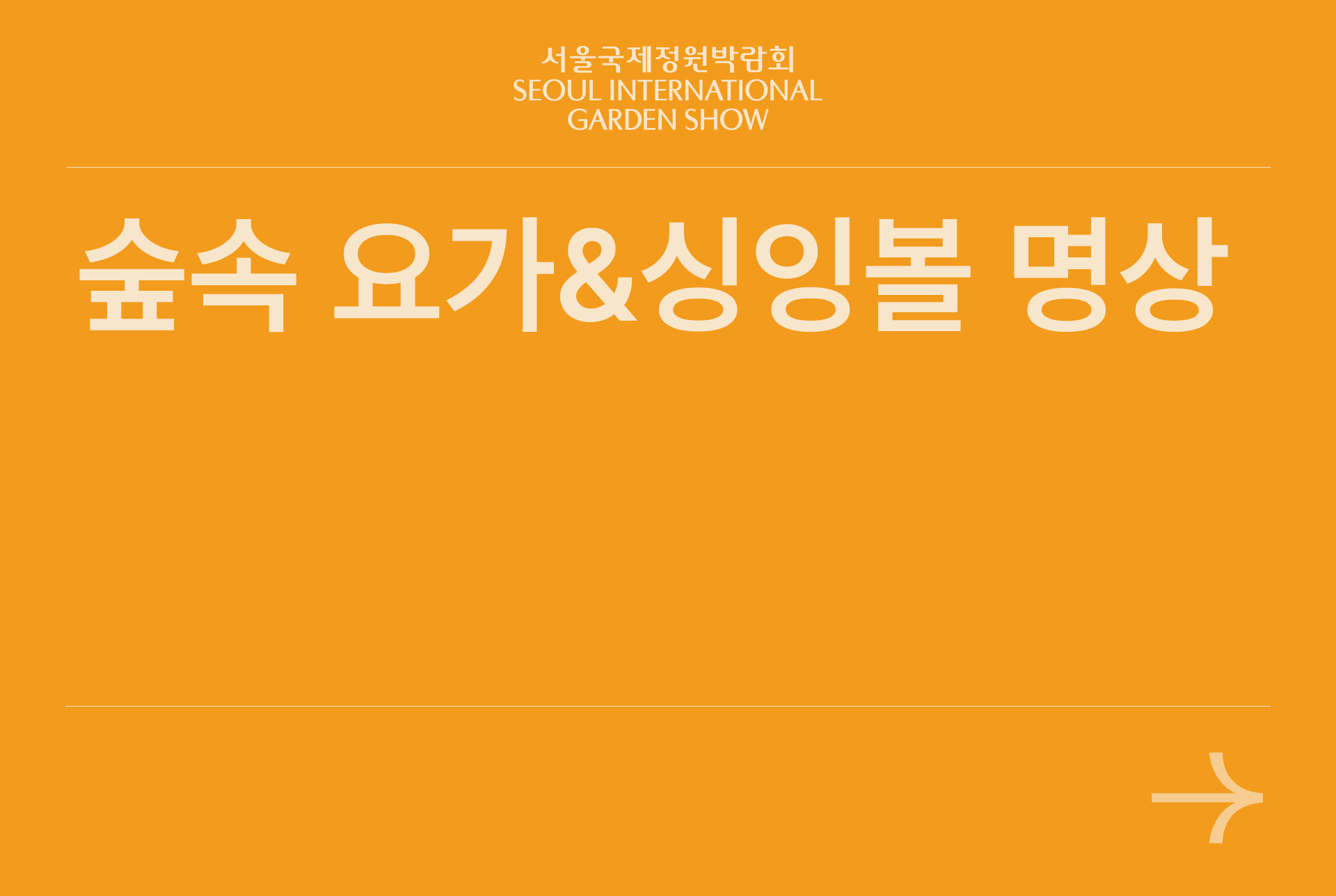 숲속요가