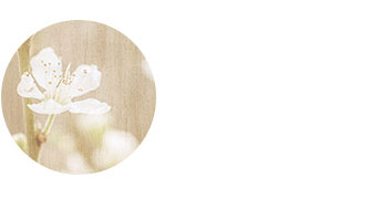 숲과 정원의 도시! 서울 정원아, 함께살자