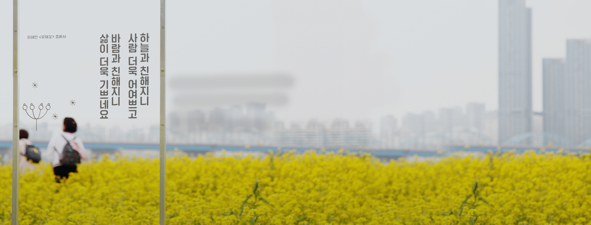 2018 한강 서래섬 유채꽃 축제