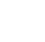 원